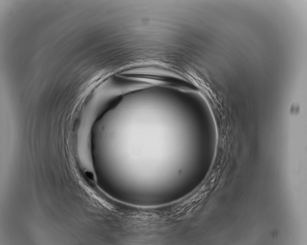 X0000096190193200801251248