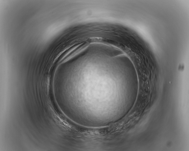 X0000096190194200801251248