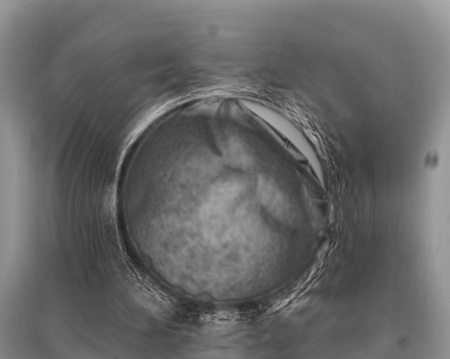 X0000096190196200801251248