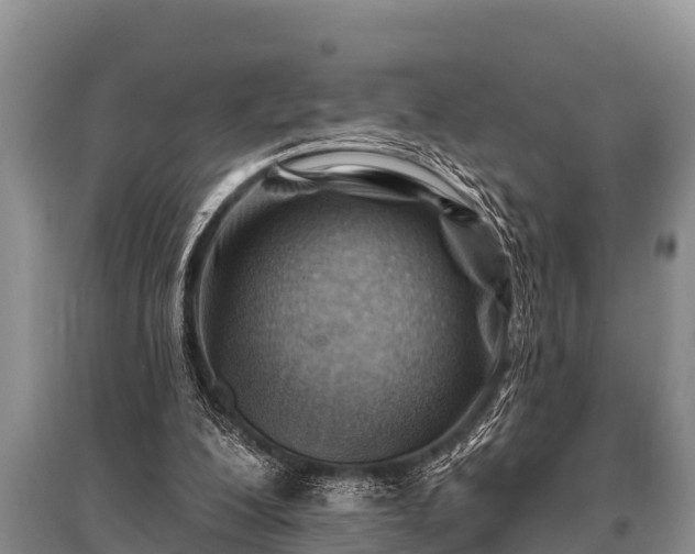X0000096190200200801251248