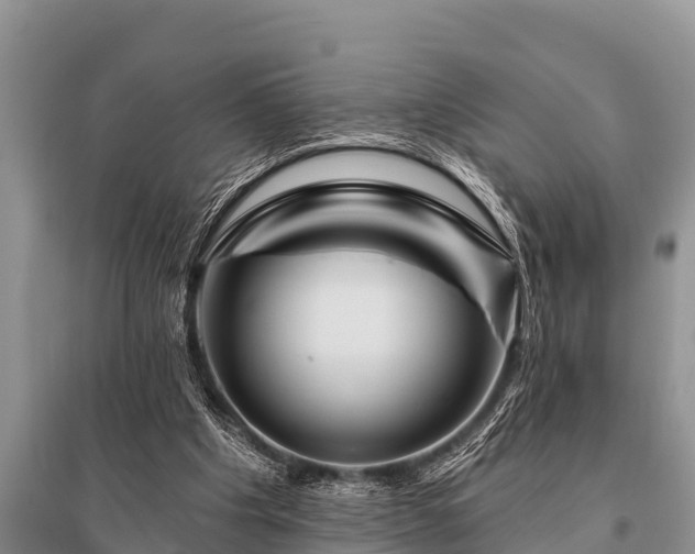 X0000096190201200801251248
