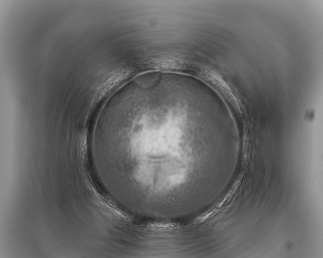X0000096190202200801251248