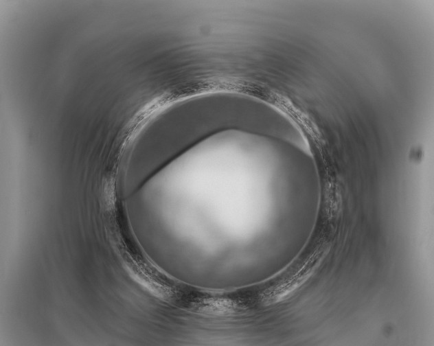 X0000096190203200801251248