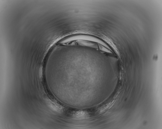 X0000096190204200801251248