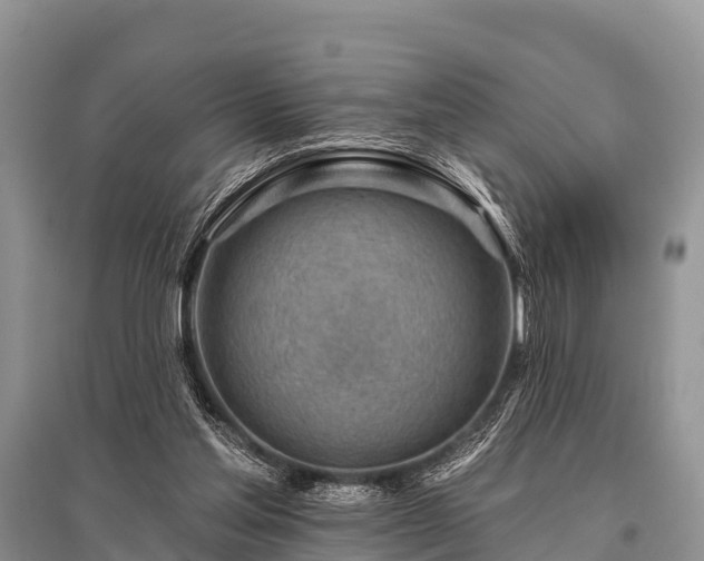 X0000096190205200801251248