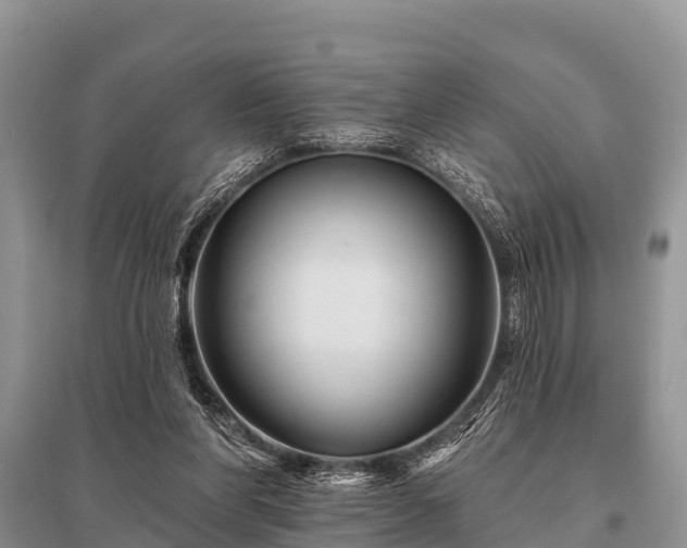 X0000096190206200801251248