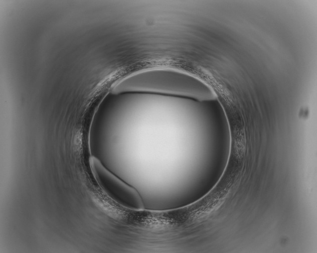 X0000096190207200801251248