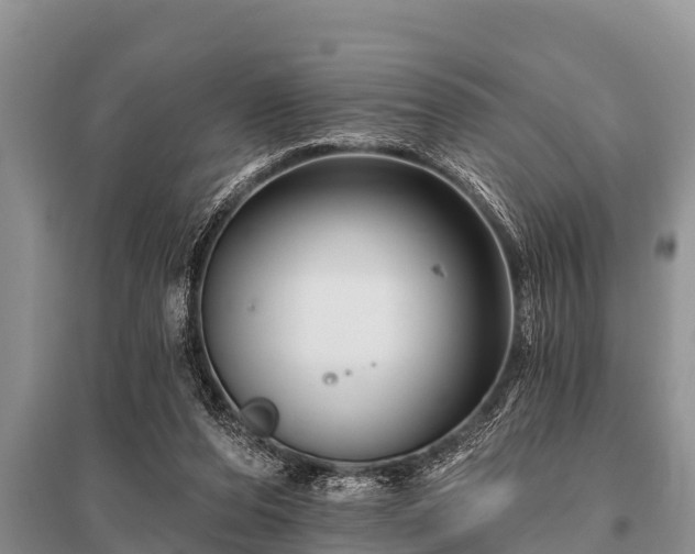 X0000096190208200801251248