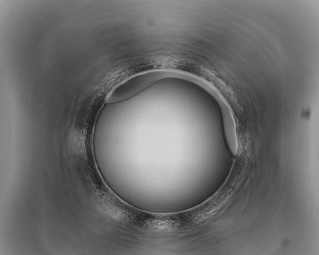 X0000096190209200801251248