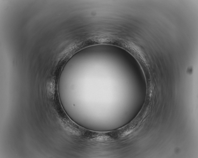 X0000096190210200801251248