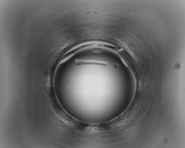 X0000096190211200801251248