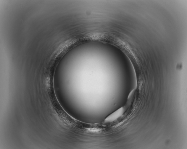 X0000096190212200801251248