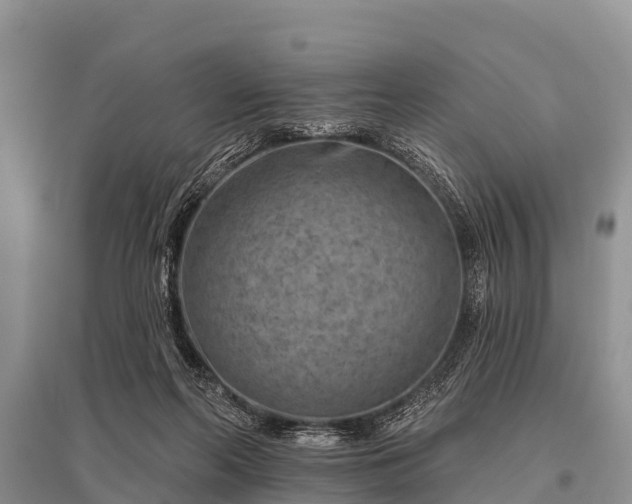 X0000096190214200801251248