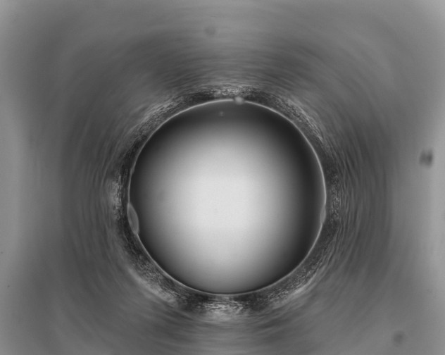 X0000096190215200801251248