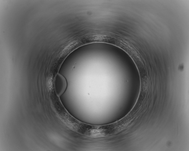 X0000096190216200801251248