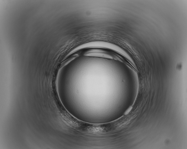 X0000096190217200801251248