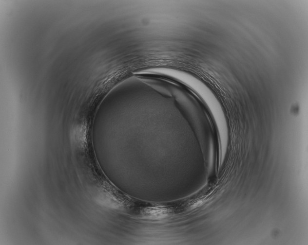 X0000096190219200801251248