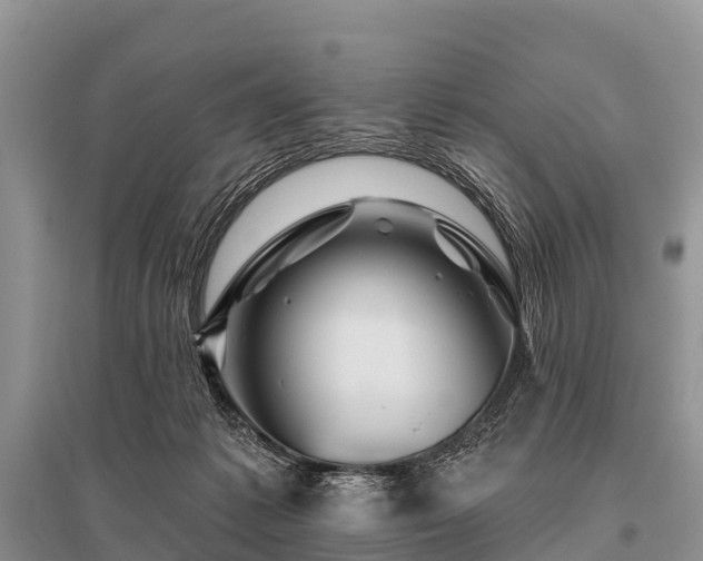 X0000096190221200801251248