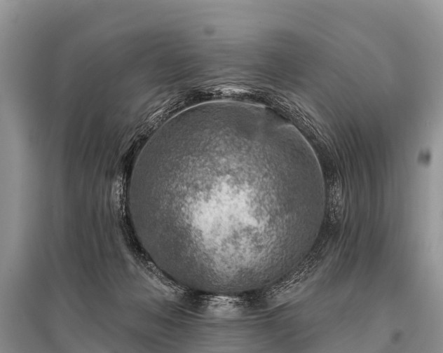 X0000096190222200801251248