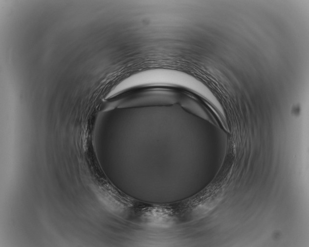 X0000096190223200801251248