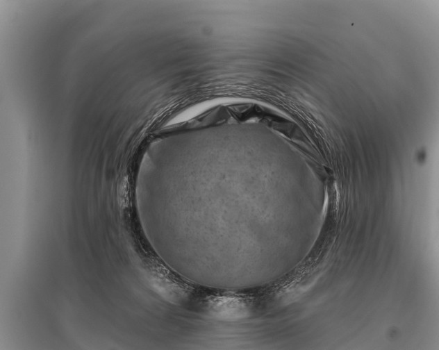 X0000096190224200801251248