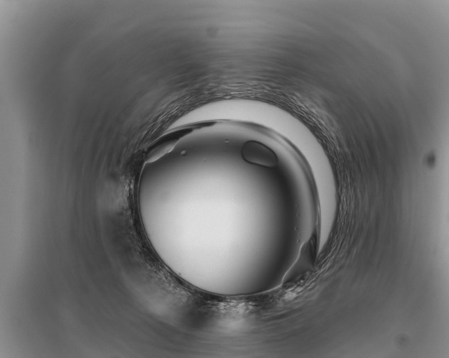 X0000096190225200801251248