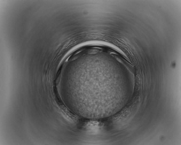 X0000096190227200801251248