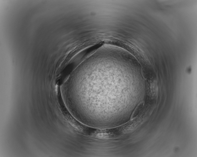 X0000096190228200801251248