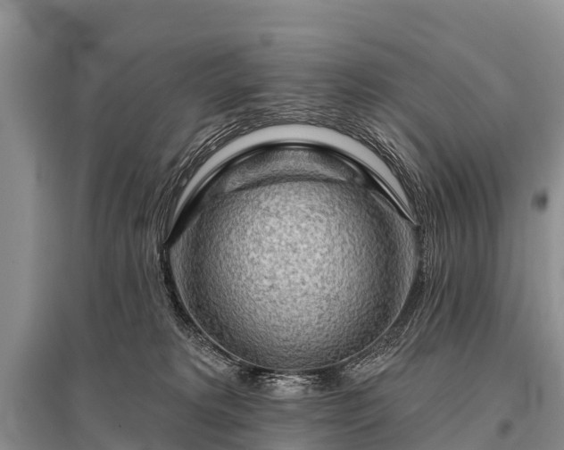 X0000096190229200801251248