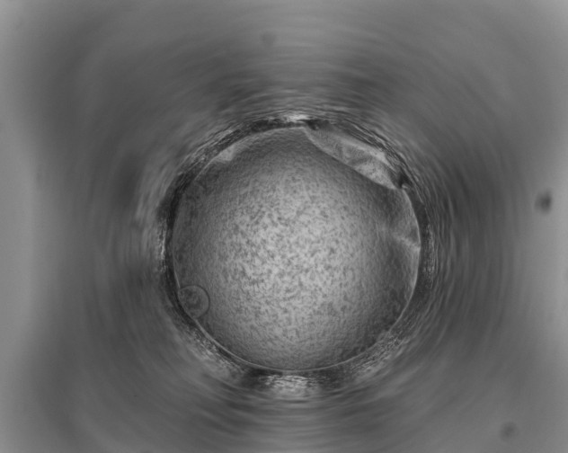 X0000096190230200801251248