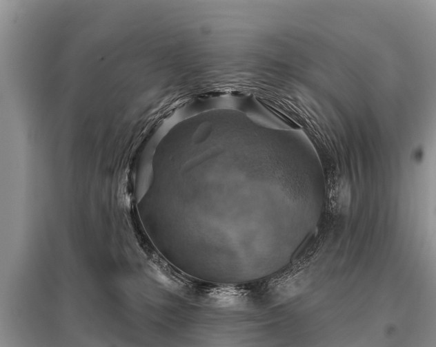 X0000096190231200801251248