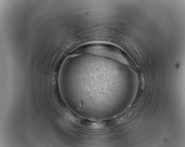 X0000096190232200801251248