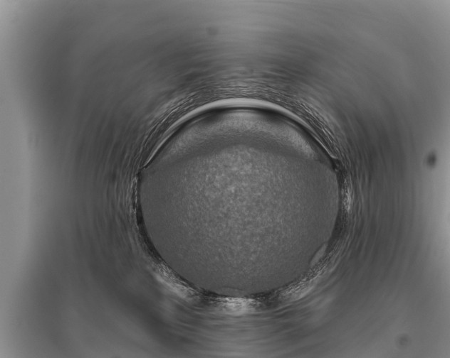 X0000096190233200801251248