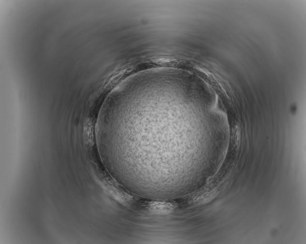 X0000096190234200801251248