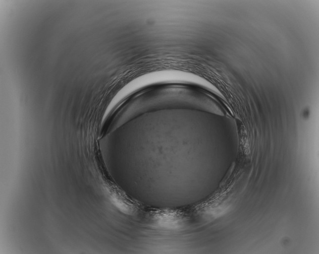 X0000096190235200801251248