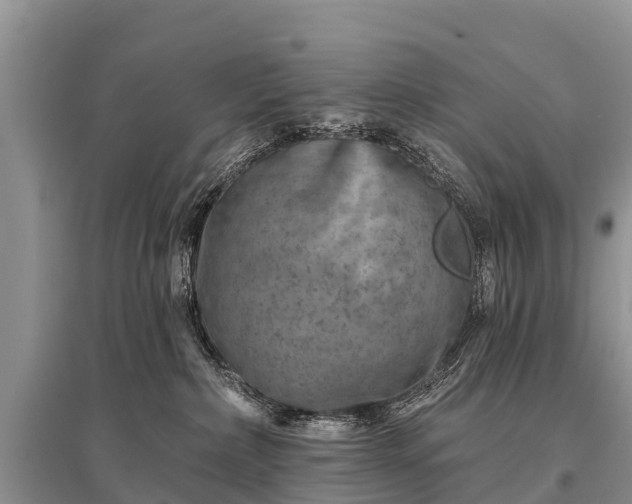 X0000096190236200801251248