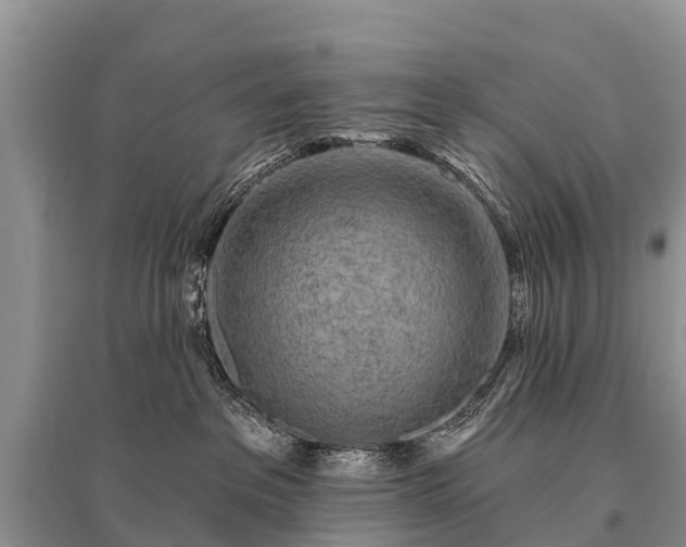 X0000096190237200801251248