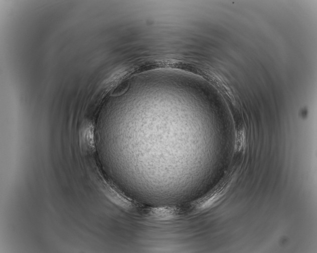 X0000096190238200801251248