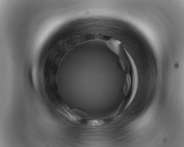 X0000096190239200801251247