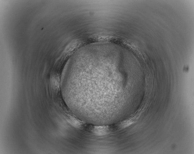 X0000096190240200801251247