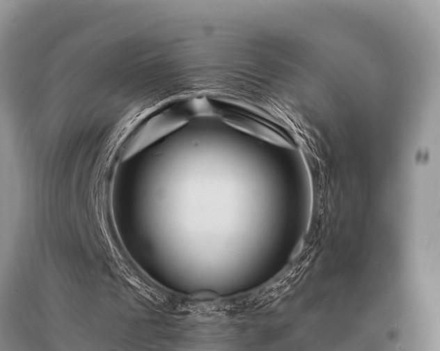 X0000096190241200801251247