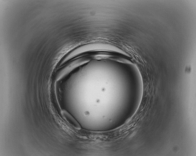 X0000096190242200801251247