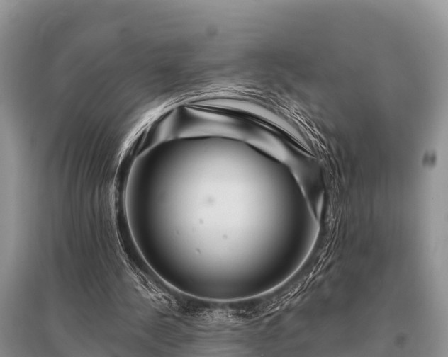 X0000096190244200801251247