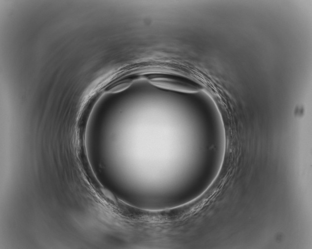 X0000096190245200801251247