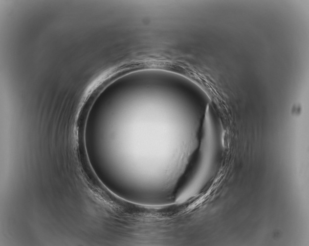 X0000096190246200801251247