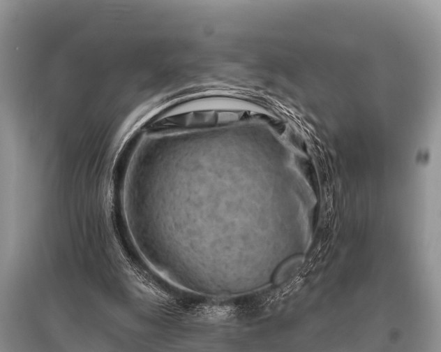 X0000096190247200801251247