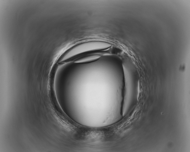 X0000096190248200801251247