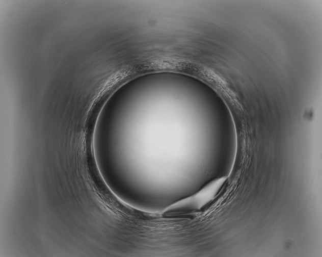 X0000096190250200801251247