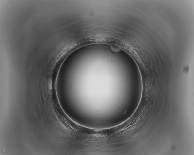X0000096190251200801251247