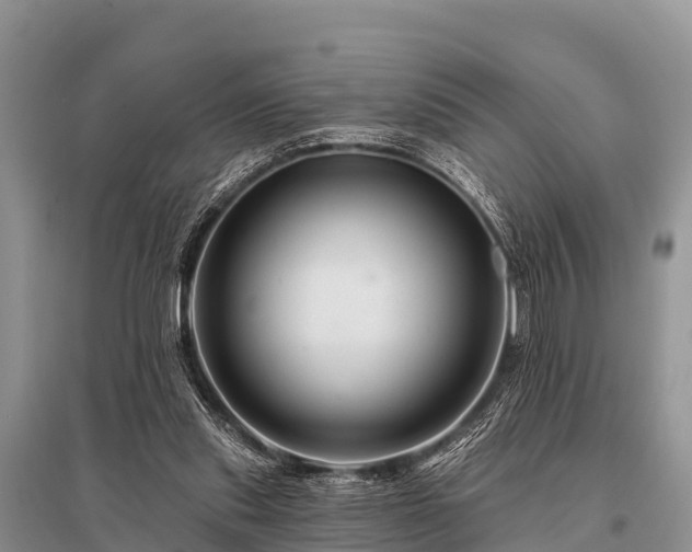 X0000096190253200801251247